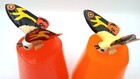 Mothra Mini Figures Set Of 2 Toho Godzilla Kaiju Monster Chibi Style Capsule Toy