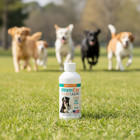 Durvet Wormeze Liquid Wormer 8 Oz  Cats Dogs Puppies Kittens Roundworm 2pck