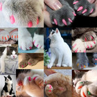 Victhy 140pcs  14 Colors  Cat Nail Caps  Cat Claw Covers Cat Nail Covers With Ad