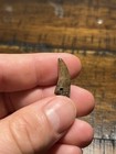 Juvenile Tyrannosaurus Rex Tooth Lance Formation Dinosaur Fossil Wyoming Nano 
