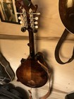 Eastman Md 514 Cs Wk k Pickup   