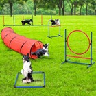 Beuloke Dog Agility Training Equipment Set Outdoor Obstacle Courses Starter Kit