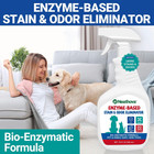 Stain   Strong Odor Eliminator  Enzyme Cleaner  Pet Odor Eliminator For Home - C