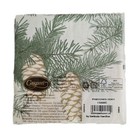 Caspari Pinecones Paper Cocktail Napkins In Ivory 15500c- 20 Per Package