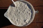 Extra Sour Sourdough Starter  140 yrs California Gold  Larry