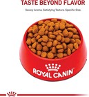 Royal Canin Large Breed Adult Dry Dog Food  30 Lbs 