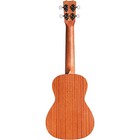 Cordoba Ukulele Player Pack - Concert Ukulele Natural