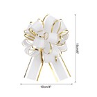 10pcs 4 Inch Large Big Pull Bows Gold Edge  Organza Car Gift Wrapping   White