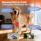 Salmon Oil For Dogs omega 3 Dog Skin And Coat Supplement Chews Fish White 