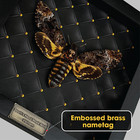 Framed Death Head Moth Gothic Decor Real Insect Shadow Box Gift For Boyfriend