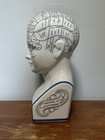Phrenology By L  N  Fowler 8    Ceramic Head   Bust Bank