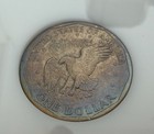 Susan B Anthony 13 Coin Set In Capital  Holder - 1979  toning   80   81