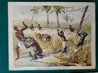 1893 Victorian Set Of 5- Large Size Mclaughlin Coffee Trade Cards-rare Set- Stc5