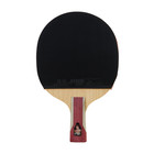  dhs Sports Usa  H6006 6 Star Table Tennis Racket Penhold Advanced Paddle W  Bag