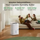 80  120  150 Pint Energy Star Dehumidifier For Home  Basement   Large Space