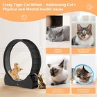 Cat Exercise Wheel For Indoor Cats - 40  Large Cats Running Wheel  Cat Treadmill
