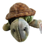 Ty Beanie Babies Speedster The Turtle  2004  Mint With Hang Tag