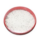 Ocean Drum Sea Wave Drum Ocean Sound Drum Natural Sound Musical Instrument