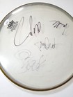 No Doubt Band Real Hand Signed 12  Drumhead Jsa Loa Autographed Gwen Stefani  3