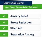 Dogs Calming Chews Anxiety Relief Calming Treats Melatonin Pet Calm Sleep Aid Us