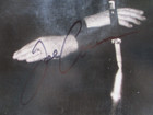 Signed Joe Cocker Album  one Night Of Sin  1989   