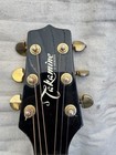 Takamine G Series 6 Strings Black
