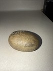 Windstone Editions 1994 Pe  a Hatching Dragon Egg In Great Condition