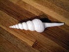 3 Large White Spindle Shells 5   Beach Wedding Decor Arts   Crafts Bridal 