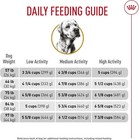 Royal Canin Breed Health Nutrition Labrador Retriever Adult Dry Dog Food  30-lb