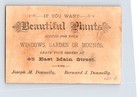 Victorian Trade Card 1890s Cute Infant Donnelly Garden Nursery Plants 2 5  X 4 