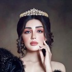 Elegant Gold Cz Wedding Tiara Floral Crown For Brides   Sweet 16 Hair Accessorie