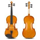 4 4 Full Size Acoustic Violin Set Adult Student With Case Fiddle School Band