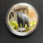2017 Canada  20 Fine Silver Coin - The Bold Black Bear
