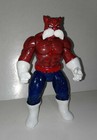 Dragon Ball Z Figure Super Toppo Custom - Dragon Ballfigure Custom   