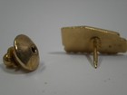 Vtg Crst Trucking Company Logo Lapel Pin Semi Truck Enamel Advertising Transport