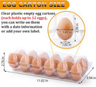100 Pack Plastic Egg Cartons 12 Count Egg Cartons Cheap Bulk For Chicken Eggs  E