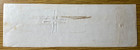 1853 Lafayette S  Foster Signed Check Acting V p  After Abraham Lincoln s Death