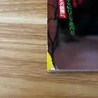 Japanese Art Book  bisyoujo-kiko Vol 17 Special Edition    1997