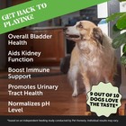 Pet Honesty Vet Recommended Cranberry Supplement For Dogs  90 Ct  All Ages