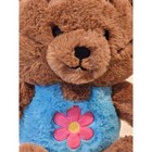 Applause Sugarloaf Brown Teddy Bear Flower Costume 10    Plush Toy Stuffed Animal