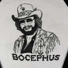 Vintage Hank Williams Jr Band Tee Bocephus Raglan Xl 1983 With The Bama Band 