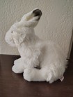 Webkinz Signature Arctic Hare No Code
