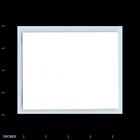 Old Vintage Photo Woman With Glasses Holding Drink