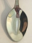 Zion National Park Vintage Souvenir Spoon Collectible