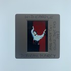 Deborah Harry Transparency Positive Photographic Slide Original Promo 1993