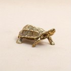 Mhygktxra Brass Vintage Turtle Figurine Statue Home Ornaments Animal Golden 