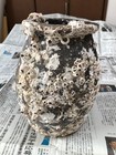 Antique Takotsubo Octopus Trap Japanese Pottery   5 2  h9 1inch With Barnacles Fs