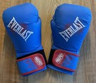 Everlast Prospect Youth Training Gloves For Boxing Or Sparring Gloves New
