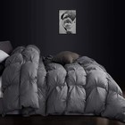 Luxurious All-season Gray Pinch Pleat Goose Down Comforter Duvet Insert