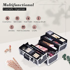 Professional Makeup Train Case Extra Large Cosmetic Organizer Box 6 Trays